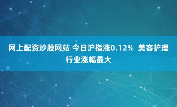 网上配资炒股网站 今日沪指涨0.12%  美容护理行业涨幅最大