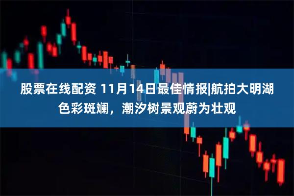股票在线配资 11月14日最佳情报|航拍大明湖色彩斑斓，潮汐树景观蔚为壮观